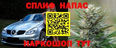 крисы Гусиноозёрск