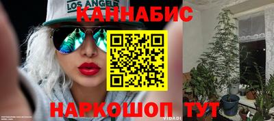 крисы Гусиноозёрск