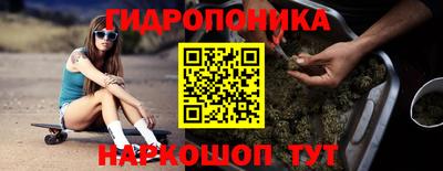 крисы Гусиноозёрск