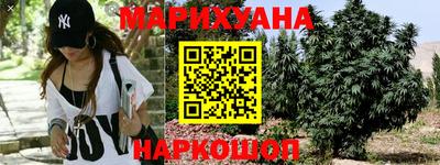 сатива Гусев