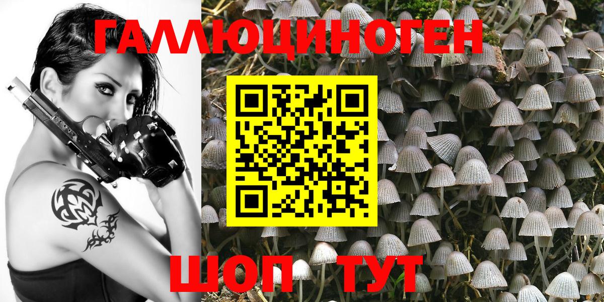 Галлюциногенные грибы мицелий  Галлюциногенные грибы Psilocybe  Вход с VPN  Москва 